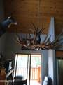 316 Elk Song Trail - Photo 12
