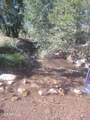 316 Elk Song Trail - Photo 15