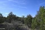 52084 Calle Ciervo - Photo 4