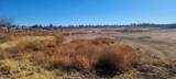 Lot 13 Swisshelm Trail - Photo 2