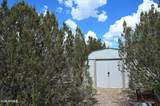 1374 Ponderosa Road - Photo 12