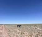 000 9361 - Photo 8