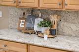 13407 Anapama Drive - Photo 47