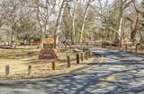 80 Cimarron Ridge Drive - Photo 41