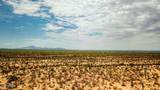 0 Sahara Drive - Photo 19