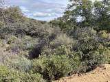 0000 Ranch Creek Rd - Photo 3