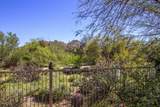 7180 Thirsty Cactus Lane - Photo 26
