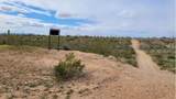 295XX Painted Wagon Trail - Photo 4