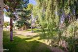 7316 Via Camello Del Norte - Photo 20