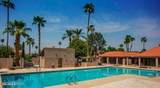 7316 Via Camello Del Norte - Photo 22