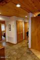 4432 Ute Circle - Photo 12