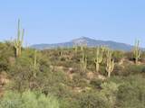 14545 Rincon Creek Ranch Road - Photo 90
