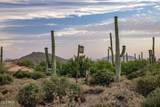 41927 Saguaro Forest Drive - Photo 11