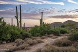 41927 Saguaro Forest Drive - Photo 15
