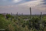 41927 Saguaro Forest Drive - Photo 16