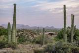 41927 Saguaro Forest Drive - Photo 18