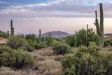 41927 Saguaro Forest Drive - Photo 19