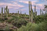 41927 Saguaro Forest Drive - Photo 20
