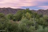 41927 Saguaro Forest Drive - Photo 21