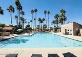 7417 Via Camello Del Norte - Photo 19