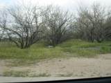 0 Stewart Street - Photo 11