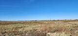 475 Guymas Trail - Photo 12