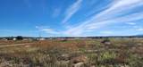 475 Guymas Trail - Photo 22