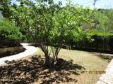 60 Wood Canyon - Photo 35