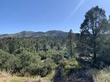 17545 Buck Horn Drive - Photo 1