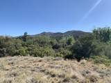 17545 Buck Horn Drive - Photo 10