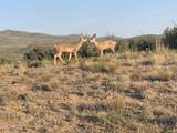 17545 Buck Horn Drive - Photo 22