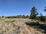 17545 Buck Horn Drive - Photo 6