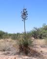 LOT 10 De Vaca Circle - Photo 4