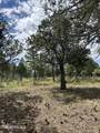 5852 Teton Way - Photo 1