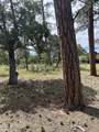5852 Teton Way - Photo 3