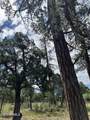 5852 Teton Way - Photo 4