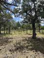 5852 Teton Way - Photo 5