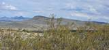 13995 Knight Creek Road - Photo 53