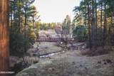 1261 Big Springs Trail - Photo 51