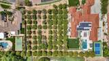 2109 Pomelo - Photo 11
