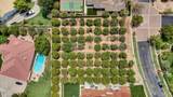 2109 Pomelo - Photo 12