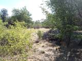 1321 Gifford Drive - Photo 12