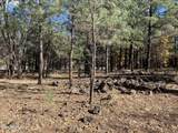 5350 Branding Iron Loop - Photo 1