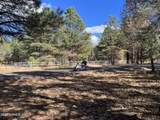 5350 Branding Iron Loop - Photo 5