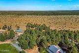 2708 High Pine Loop - Photo 23