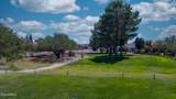2922 Palmer Drive - Photo 14