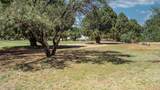 2922 Palmer Drive - Photo 19