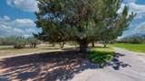 2922 Palmer Drive - Photo 23