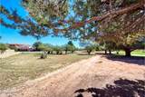 2922 Palmer Drive - Photo 36