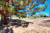 2922 Palmer Drive - Photo 40